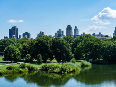 Panoramic view of Central Park with skyscrapers in the background and a lake, illustrating urban harmony.