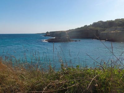 The turquoise water of the cliffs of Torre Sant'Andrea, lined with greenery, attracts lovers of nature and coastal landscapes.