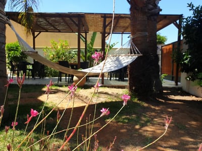 A relaxation space outdoors at the B&B Vacanze Salento with a hammock and colorful flowers, perfect for relaxing under the sun.