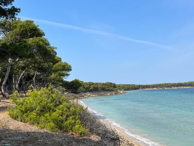 Tranquil beach of the Cheradi Islands, lined with pines and turquoise waters, perfect for relaxation and natural exploration.