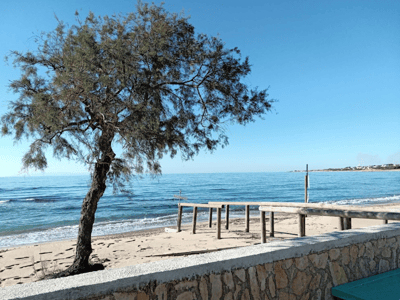 Calm beach in Torre Ovo, with a flowering tree and wooden docks overlooking a clear and peaceful sea.