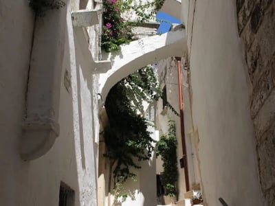 Rue étroite d'Ostuni, ornée de plantes grimpantes et de murs blancs, évoquant le charme pittoresque des villes méditerranéennes.