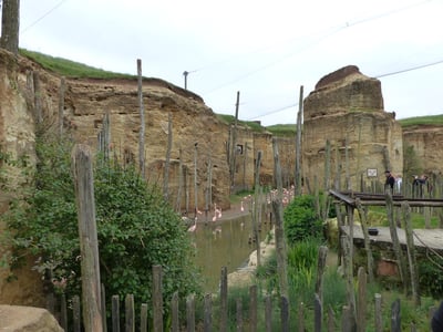 Natural landscape of Doué-la-Fontaine, with rock formations and flamingos near a small pond.