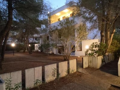 Collins apartments surrounded by trees, with soft lights illuminating the peaceful garden at dusk.