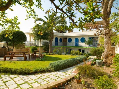 Un jardin verdoyant entourant Villa Bruno avec des palmiers et une architecture moderne aux volets bleus.