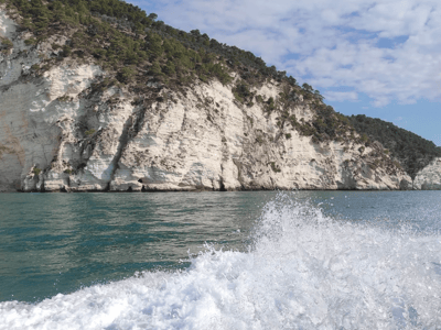 Vagues s'écrasant contre les falaises blanches des Grottes Marines, avec une végétation verdoyante en arrière-plan.