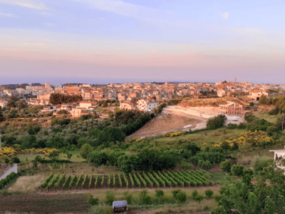 Vue panoramique de Vico del Gargano, avec des vignobles verdoyants au premier plan et des maisons pittoresques en arrière-plan.