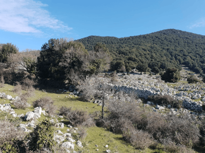 Paysage sauvage de Monte Sacro, avec des collines verdoyantes et des rochers, parfait pour la randonnée et l'exploration naturelle.