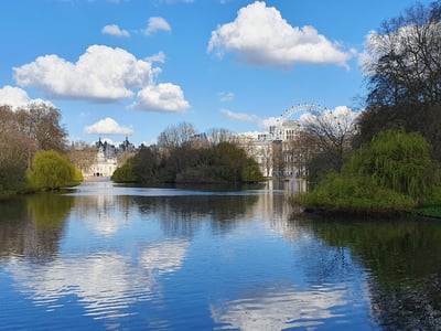 Un reflet serein du ciel bleu et des arbres au bord du lac à St James's Park, encadré par des bâtiments historiques.