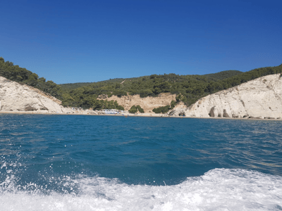 Vignanotica Bay: turquoise waters with white cliffs and lush vegetation, an ideal place for swimming.