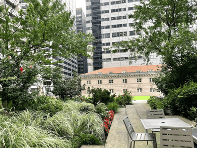 Espace vert paisible à Elevated Acre, entouré de bâtiments modernes, offrant une oasis de tranquillité en milieu urbain.