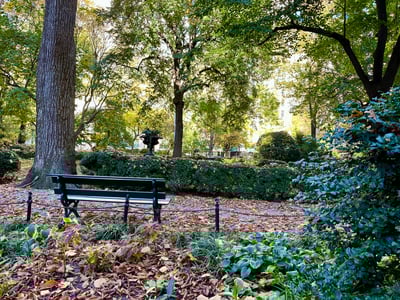 A bench facing green trees and fallen leaves, capturing the peaceful atmosphere of Gramercy Park in autumn.