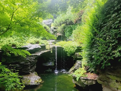 A serene waterfall in the Brooklyn botanical garden, surrounded by lush vegetation and natural rocks.