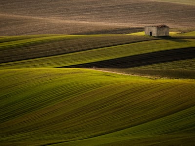 Rolling landscape with green fields and a small stone house in the Alta Murgia National Park.