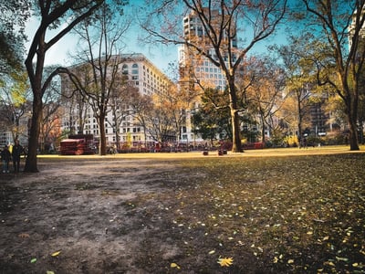 Madison Square Park in autumn, with modern buildings in the background and fallen leaves on the ground.