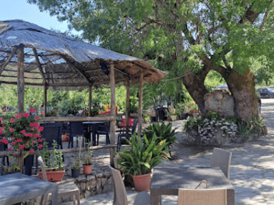 Un espace extérieur accueillant à Le Fontanelle, avec des tables, des chaises et une belle végétation environnante.