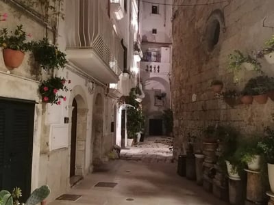 Rue paisible à Monopoli, éclairée par des lampadaires, avec des fleurs et des pots en terre cuite le long des murs en pierre.