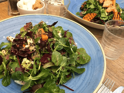 Fresh and colorful salad served at the Clifton Nurseries café, surrounded by calming woods and greenery.