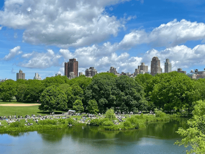 Large green space at Sheep Meadow, with city dwellers enjoying the sun and iconic New York buildings in the background.