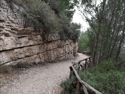 Chemin sinueux bordé de pierres et de verdure à Monte Sacro, idéal pour les randonneurs et les amoureux de la nature.