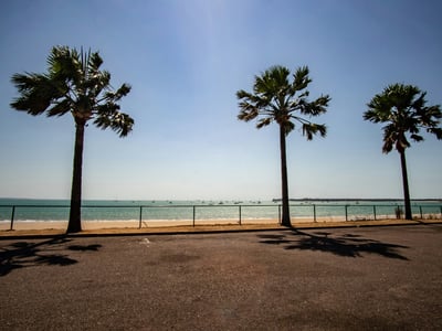 Sunny coast of Darwin with palm trees and boats on the horizon, evoking the natural beauty of the area.