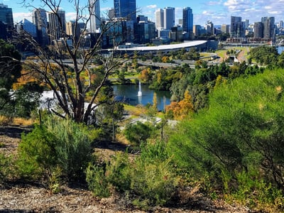 Stunning view of the park and the skyscrapers of Perth, highlighting urban nature in the fall.
