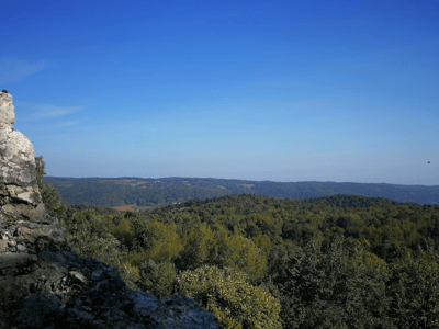 Vue panoramique des collines verdoyantes de Monte Sacro, idéale pour les randonneurs et amoureux de la nature.