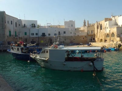 Bateaux de pêche colorés amarrés dans le port de pêche animé, avec des bâtiments historiques en arrière-plan.