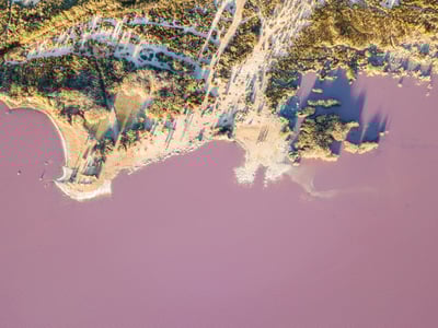 L'eau rose des lacs salés de Torrevieja, entourée de paysages verdoyants et de chemins sinueux.