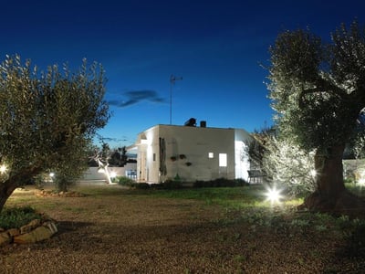 Modern illuminated house, surrounded by olive trees, at dusk in Villa Rosaria, providing a peaceful and welcoming atmosphere.
