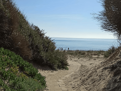 Sentier menant à la plage de Castellaneta Marina, avec des herbes luxuriantes et un ciel dégagé au-dessus de la mer.