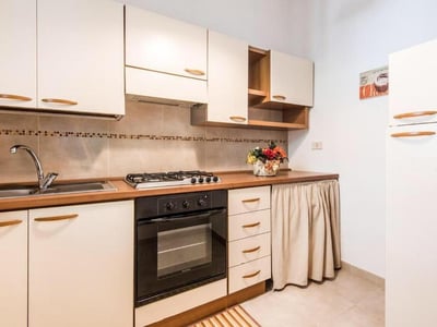 Modern and functional kitchen within the Collins apartments, equipped with cooking hobs and an oven.