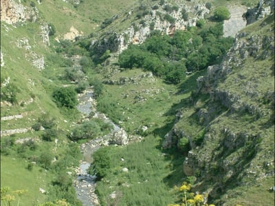 Verdant valley of Torrente Gravina, with winding stream and lush vegetation, ideal for hiking in nature.