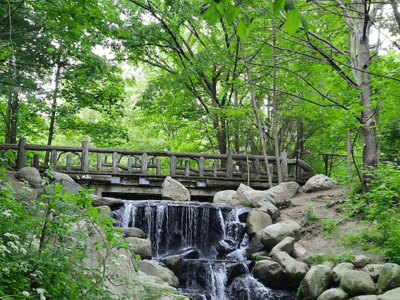A tranquil waterfall under a wooden bridge, surrounded by lush greenery in Prospect Park, a perfect place to relax.