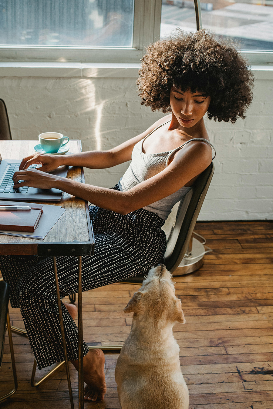 Defeat Distractions A woman types on a laptop at a desk while looking down at a dog sitting beside her on a wooden floor.