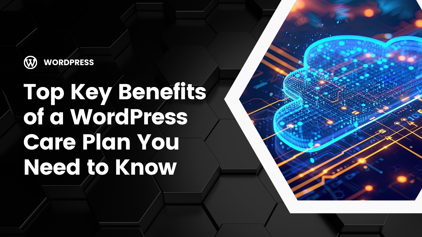 Text reads "Top Key Benefits of a WordPress Care Plan You Need to Know" next to an image of digital circuitry and a cloud icon.