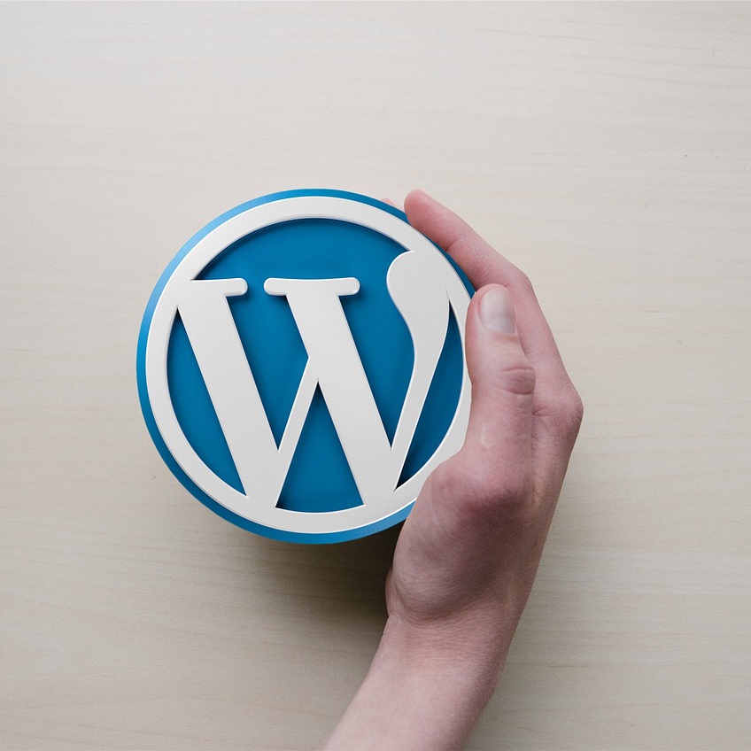A hand holds a round object with a blue background and a white "W" logo, resembling the WordPress logo, on a light wooden surface, embodying the essence of web hosting technology.