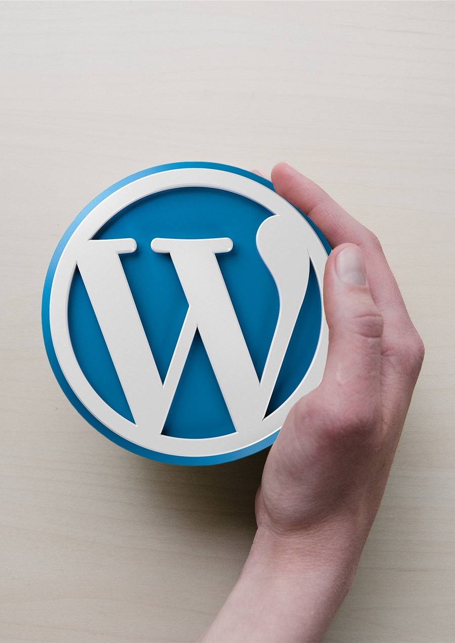 Keep Your Site Secure and Updated A person's hand holding a circular object featuring the WordPress logo on a light-colored surface.