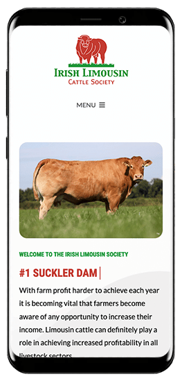 Irish Limousin