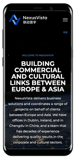 NexusVista