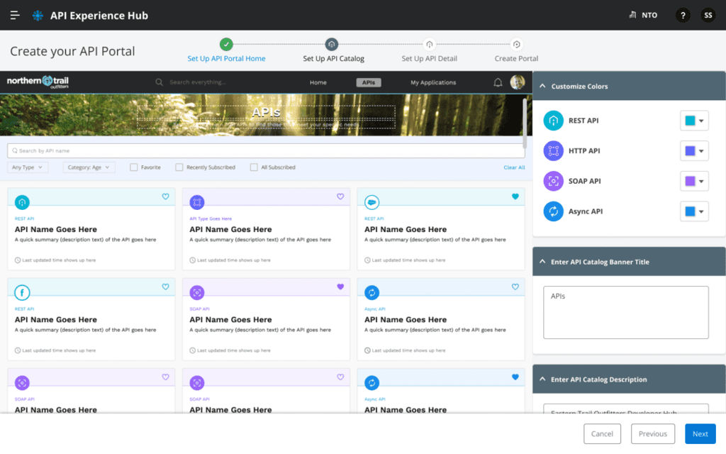 Anypoint-API-Portal-Modified-Theme-Preview-11