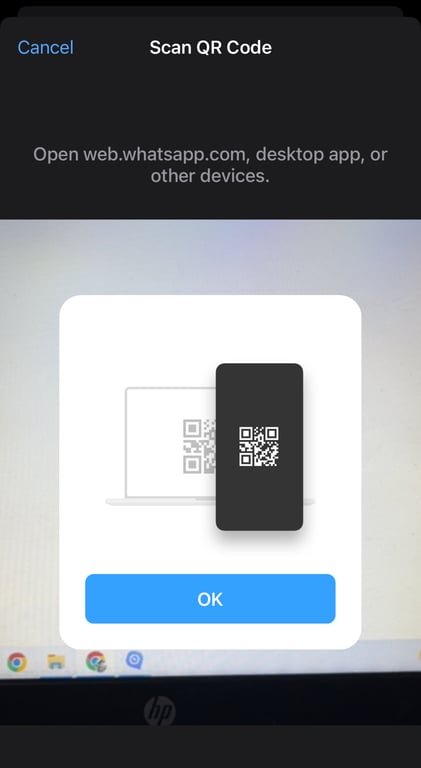 Scan the QR code properly to use WhatsApp Business in the browser.