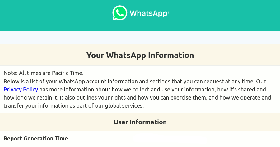 An example of a WhatsApp account info report.