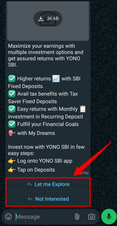An example of a WhatsApp interactive message.