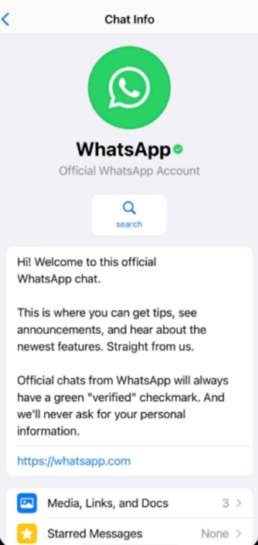 WhatsApp message containing valuable content to get new users started.