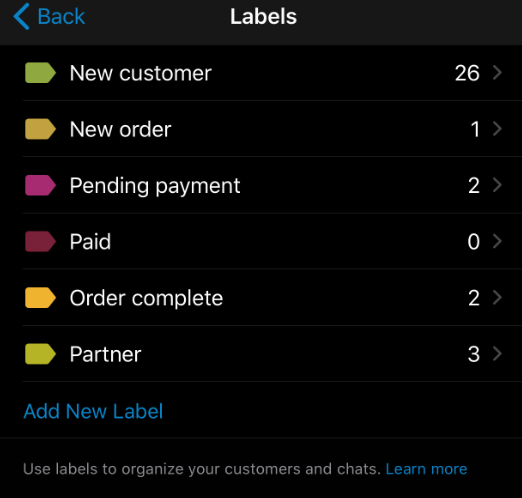 WhatsApp Business label on iOS/iPad.