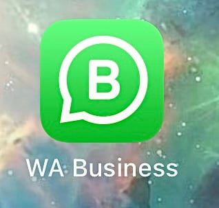 First, install the WhatsApp Business application.