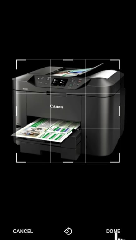 Adjust your WhatsApp Business profile image and save it.