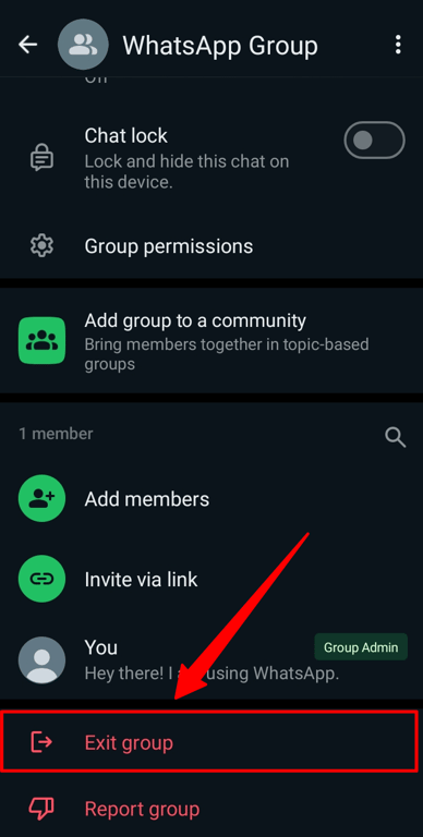 The ‘Exit group’ option in the WhatsApp Group settings.