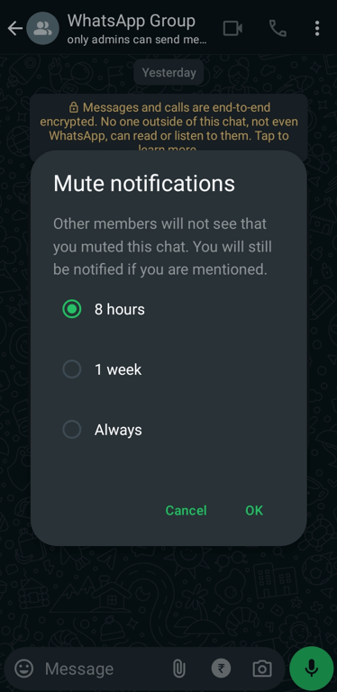 The various time periods for which you mute the notifications of your WhatsApp group.